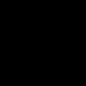 Meet your Posher, George